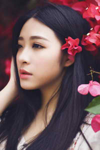 来自虞美人之坡